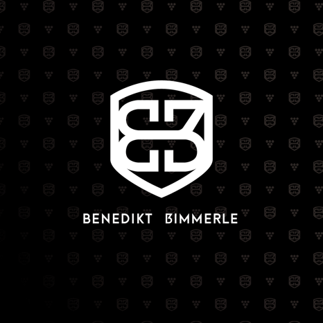 Benedikt Bimmerle