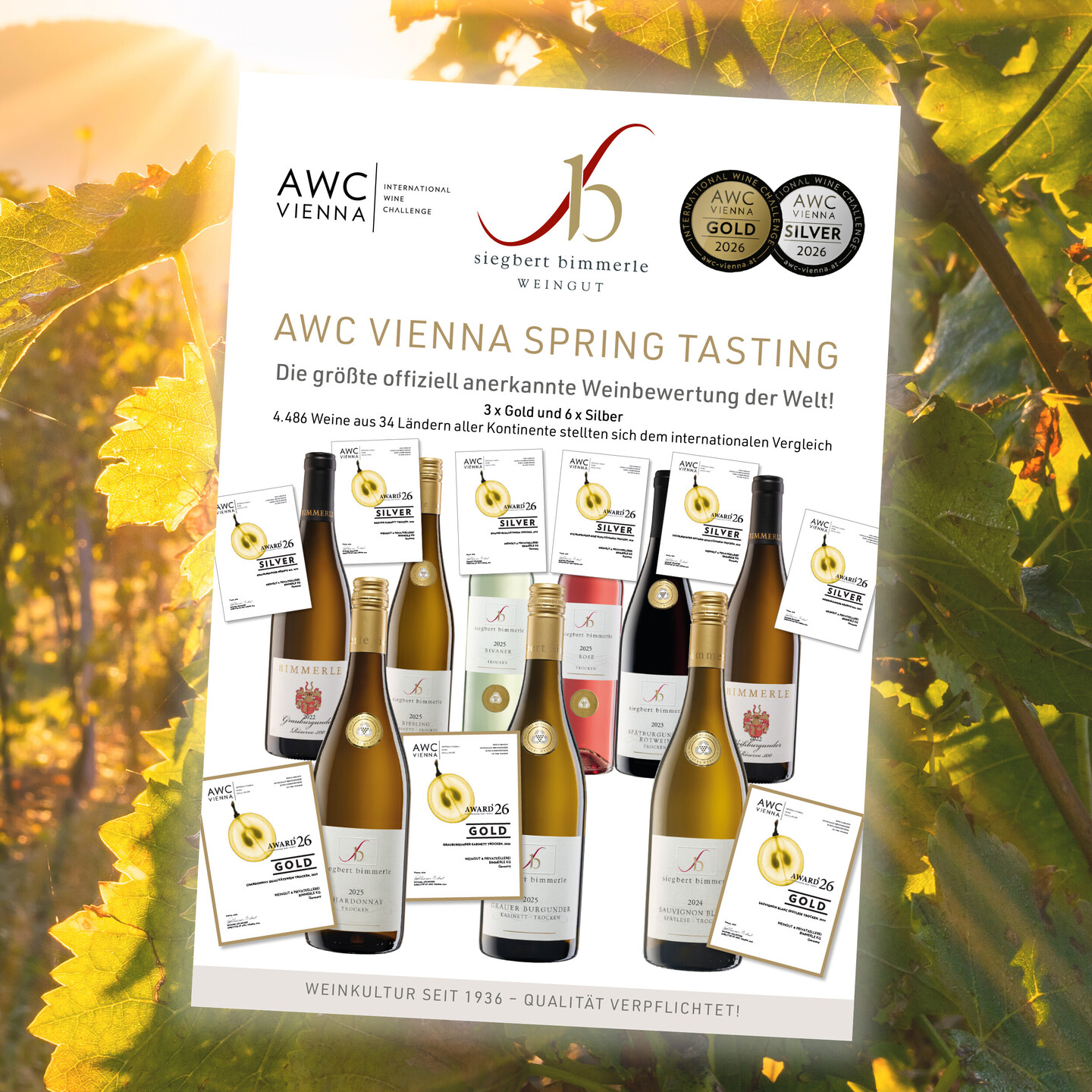 Unsere Siegerweine der AWC Vienna 2026